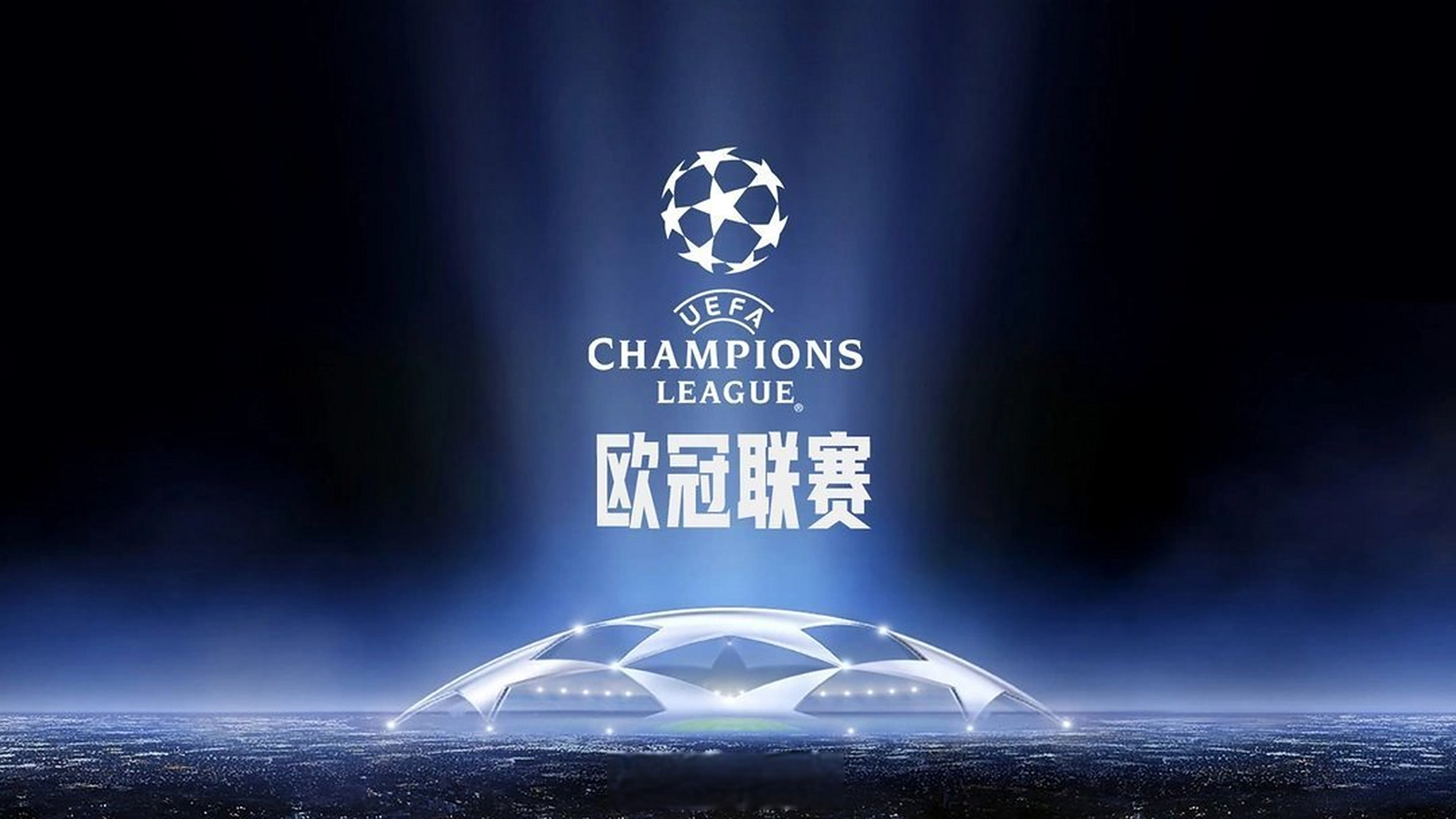 一份